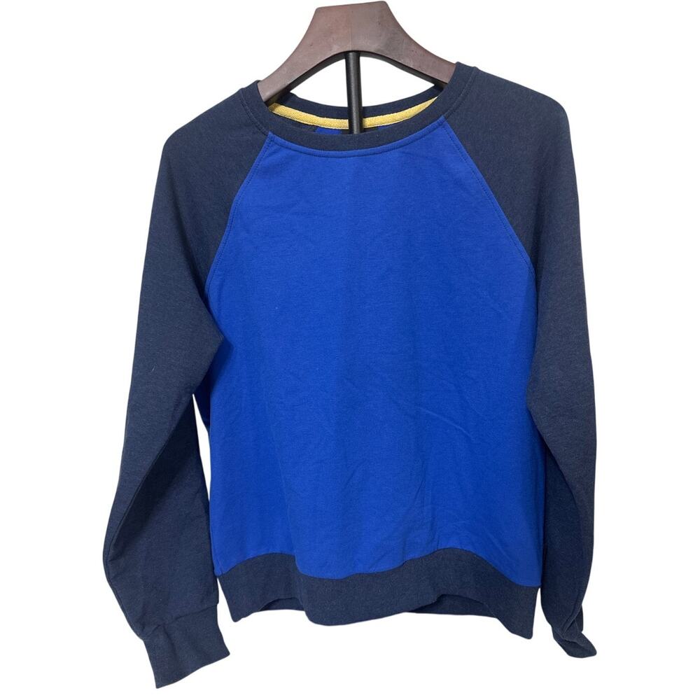 Patagonia Blue and Navy Raglan Sweatshirt